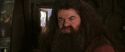 CS-Potterish_02830.jpg