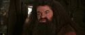 CS-Potterish_02831.jpg