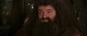CS-Potterish_02834.jpg