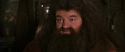 CS-Potterish_02835.jpg