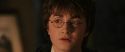 CS-Potterish_02890.jpg