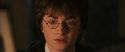 CS-Potterish_02913.jpg