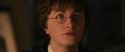 CS-Potterish_02923.jpg
