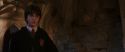 CS-Potterish_02932.jpg