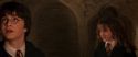 CS-Potterish_02960.jpg