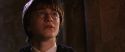 CS-Potterish_02968.jpg