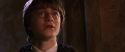CS-Potterish_02969.jpg
