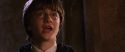 CS-Potterish_02970.jpg