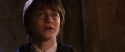 CS-Potterish_02971.jpg