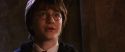 CS-Potterish_02972.jpg