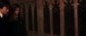 CS-Potterish_03007.jpg