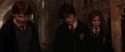 CS-Potterish_03021.jpg