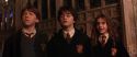 CS-Potterish_03032.jpg