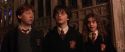 CS-Potterish_03033.jpg