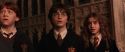 CS-Potterish_03038.jpg
