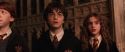CS-Potterish_03039.jpg