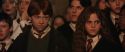 CS-Potterish_03076.jpg
