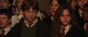 CS-Potterish_03077.jpg