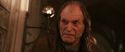 CS-Potterish_03106.jpg