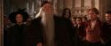 CS-Potterish_03117.jpg