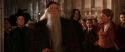 CS-Potterish_03119.jpg