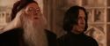 CS-Potterish_03152.jpg