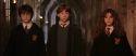 CS-Potterish_03155.jpg