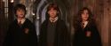 CS-Potterish_03163.jpg