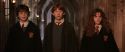 CS-Potterish_03165.jpg