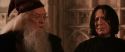 CS-Potterish_03170.jpg