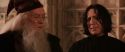 CS-Potterish_03171.jpg
