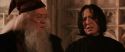 CS-Potterish_03172.jpg
