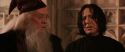 CS-Potterish_03173.jpg