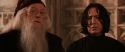 CS-Potterish_03178.jpg