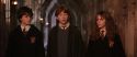 CS-Potterish_03179.jpg