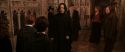CS-Potterish_03186.jpg