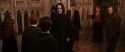 CS-Potterish_03187.jpg