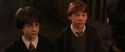 CS-Potterish_03188.jpg