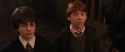 CS-Potterish_03190.jpg