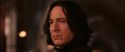 CS-Potterish_03196.jpg