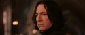 CS-Potterish_03197.jpg
