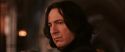 CS-Potterish_03198.jpg