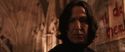 CS-Potterish_03205.jpg