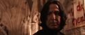 CS-Potterish_03206.jpg