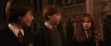 CS-Potterish_03208.jpg