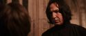 CS-Potterish_03210.jpg
