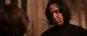 CS-Potterish_03215.jpg