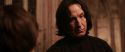 CS-Potterish_03216.jpg