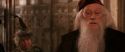 CS-Potterish_03233.jpg