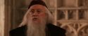 CS-Potterish_03247.jpg